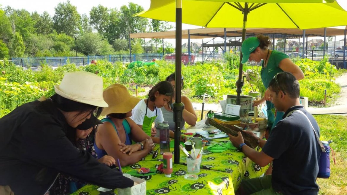 Activités au jardin