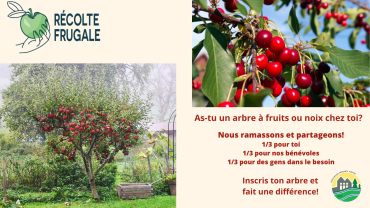 Récolte frugale