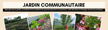 Nouvelles du jardin communautaire Serge-Bertrand