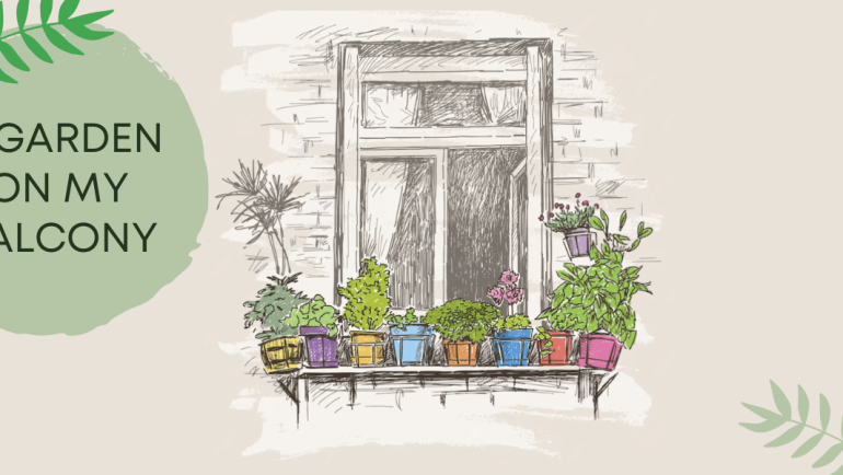 A garden in my balcony