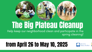 Big cleanup 2025