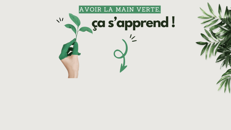 Transformez votre balcon en jardin!
