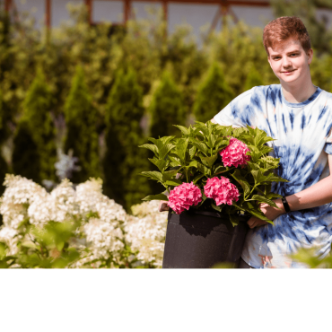 Volet services : Marché des petits entrepreneurs du Plateau