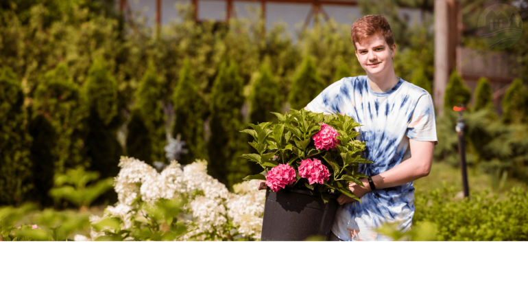 Volet services : Marché des petits entrepreneurs du Plateau