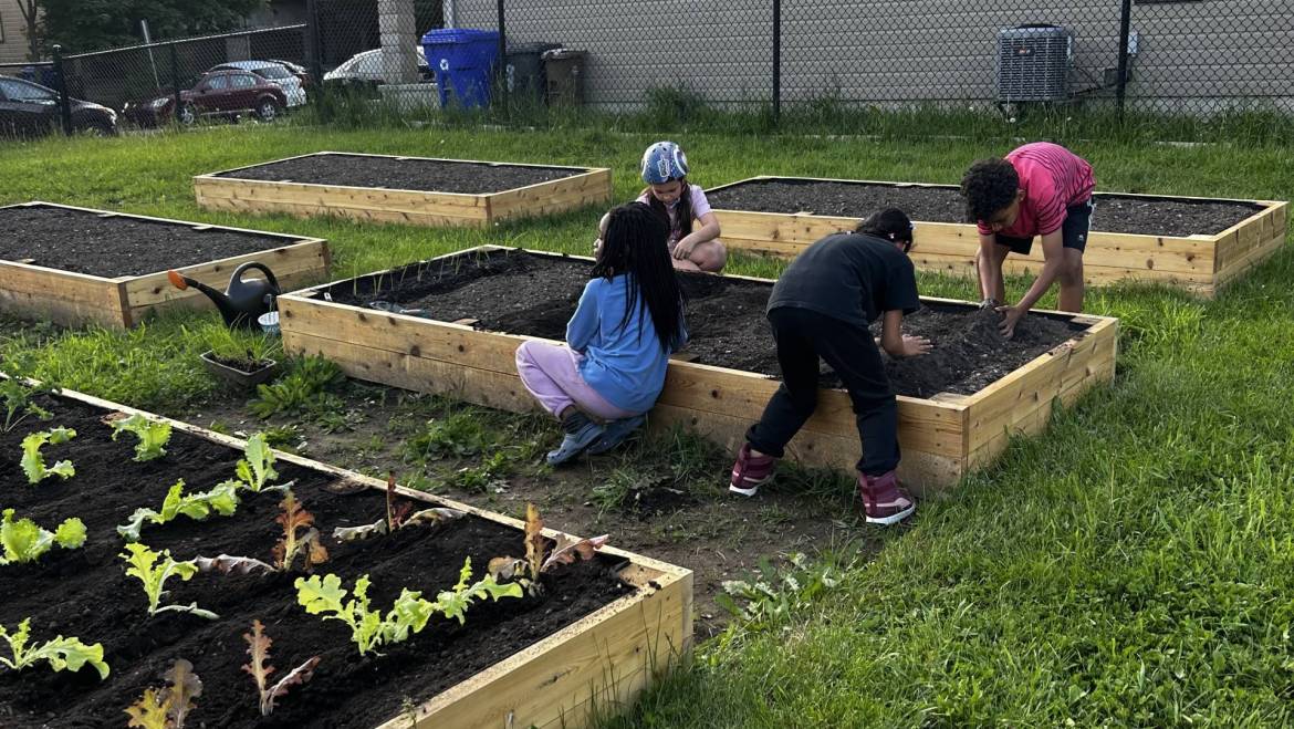 La Rose des Vents – A collective community garden