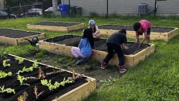 La Rose des Vents – A collective community garden