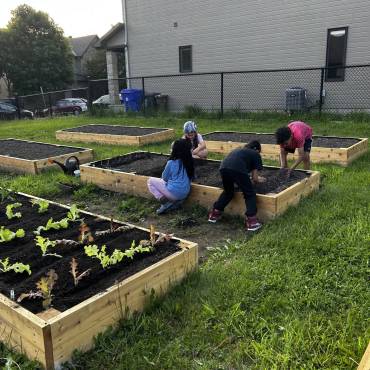 La Rose des Vents – A collective community garden