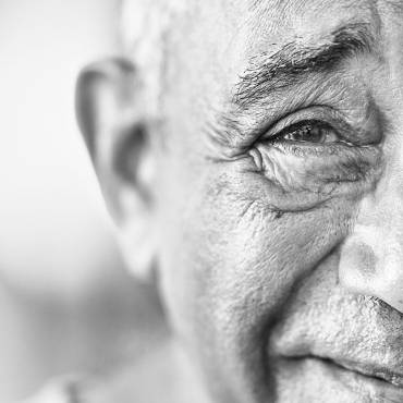 Take part in the Plateau seniors survey!