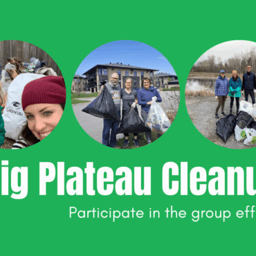 The Plateau gets a clean-up