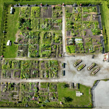 Les 10 ans du Jardin communautaire Serge-Bertrand