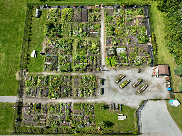 Les 10 ans du Jardin communautaire Serge-Bertrand