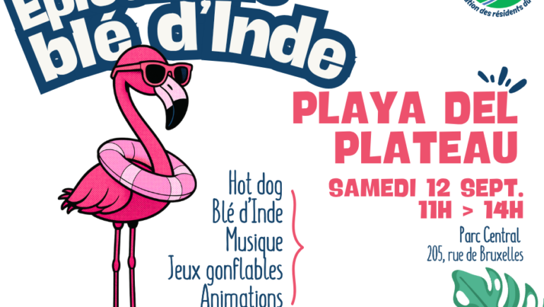 Playa del Plateau est de retour